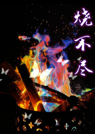 烧不尽广播剧免费听